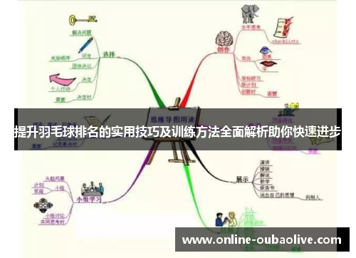 提升羽毛球排名的实用技巧及训练方法全面解析助你快速进步