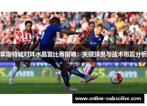 莱斯特城对阵水晶宫比赛前瞻：关键球员与战术布置分析